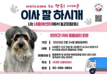 주민 이사하는 날 반려견 안전하게 맡아 준다