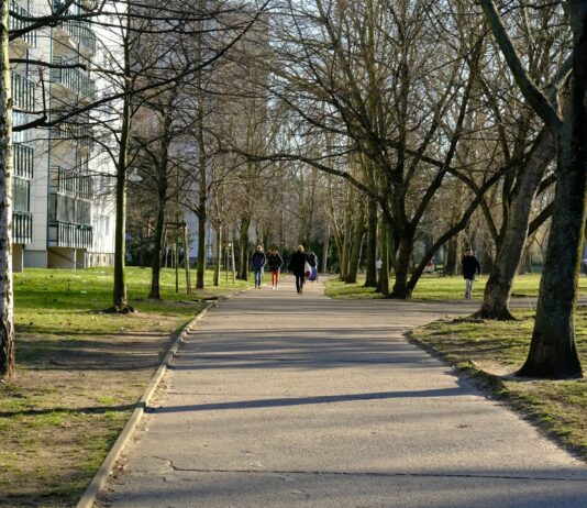 일상을 바꾸는 웰니스 문화, 건강을 위한 작은 시작에서 찾다 a sidewalk in a park lined with trees
