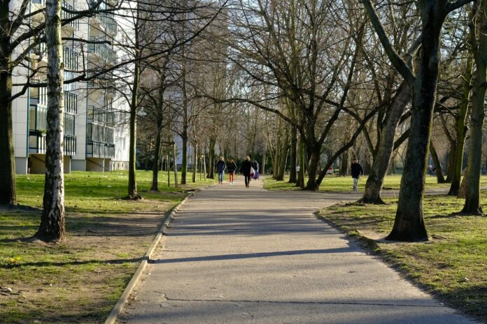 Photo by Reyazul Haque a sidewalk in a park lined with trees