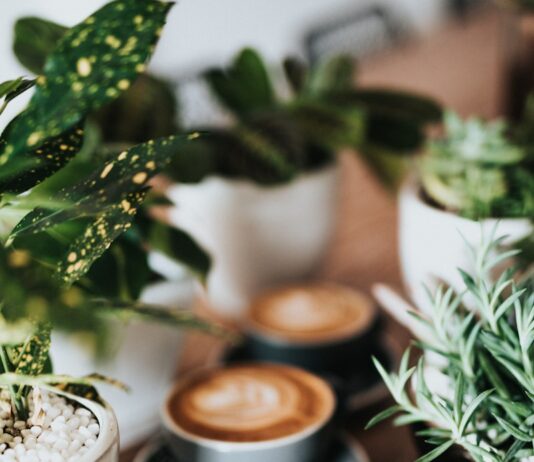 ‘슬기로운 수면 생활’… 깊은 잠을 부르는 생활 패턴이 뜬다 shallow focus photography of coffee late in mug on table