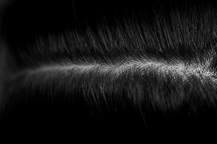 Photo by Teslariu Mihai a black and white photo of some hair